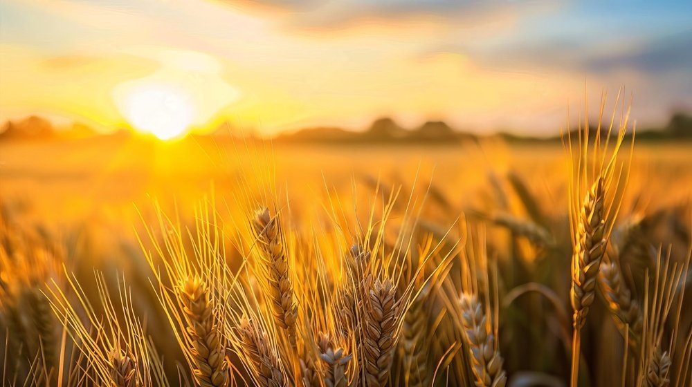 dl.beatsnoop.com-final-D7amwtlOcr