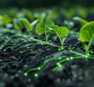 Modern Agr 02 Modern Agr 02