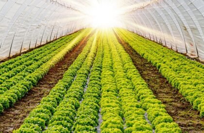 custom-img-5-copyright custom-img-5-copyright