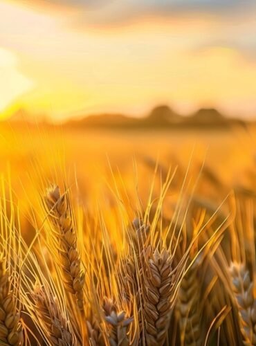 dl.beatsnoop.com-final-D7amwtlOcr dl.beatsnoop.com-final-D7amwtlOcr